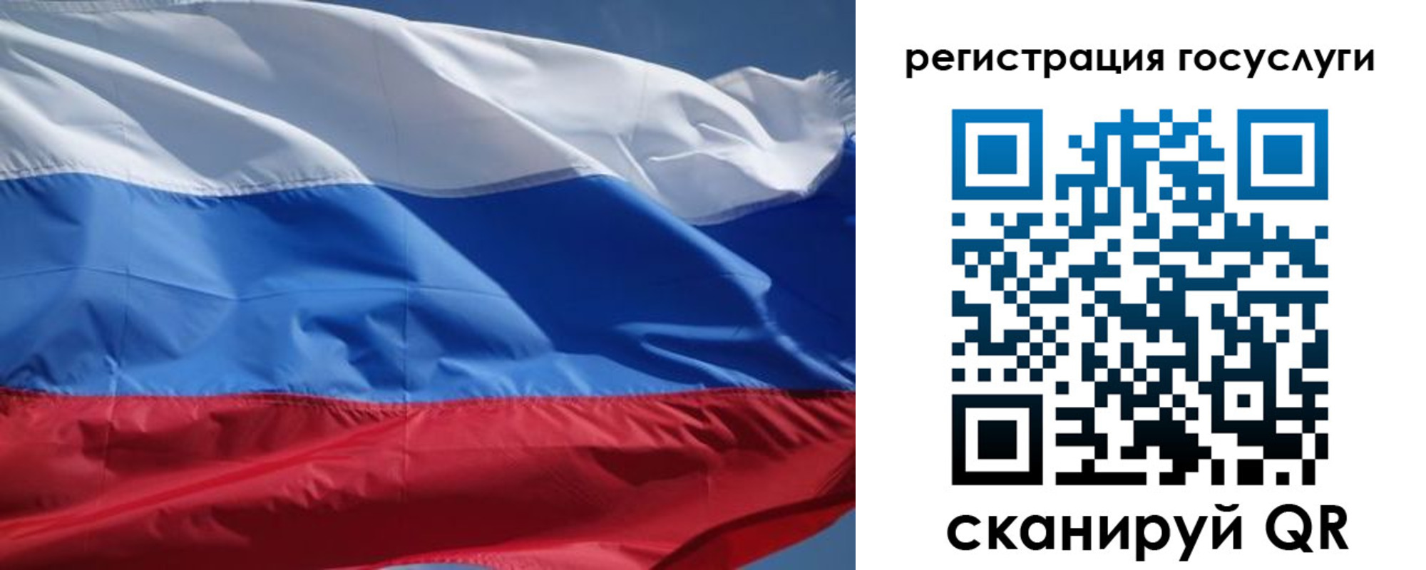 временная регистрация в Мариинском Посаде